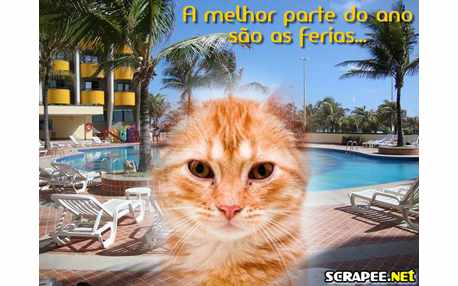 Moldura - Melhor Parte