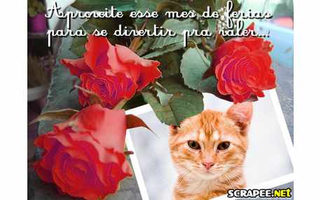 Moldura - Mes De Ferias