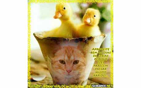 Moldura - Fim Das Ferias