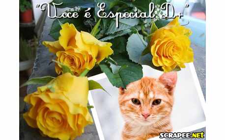 Moldura - Rosas Amarelas