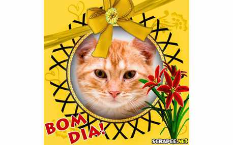 Moldura - Fita Amarela