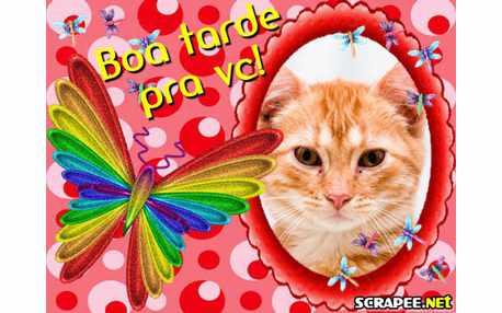 Moldura - Borbotela Listrada