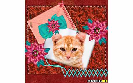 Moldura - Fotocartao