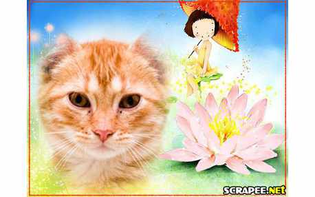 Moldura - Mena De Guarda Sol