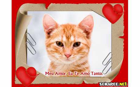 Moldura - Amor Sem Limites