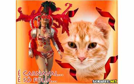 Moldura - Carnaval E So Folia