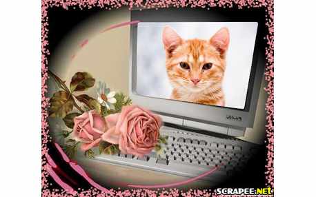 Moldura - Computador