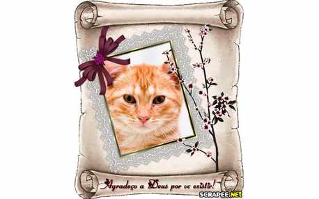 Moldura - Agradecimento