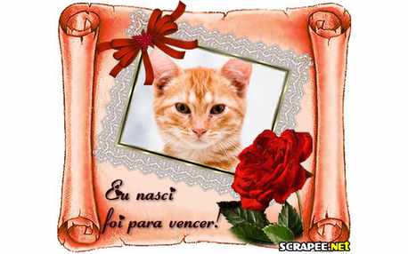 Moldura - Nasci Para Vencer