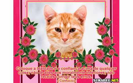 Moldura - Vc E O Melhor