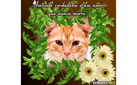 Moldura - Amizade E O Amor