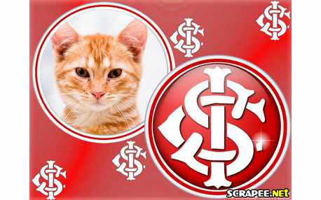 Moldura - Internacional