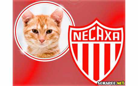 Moldura - Necaxa