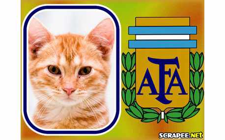 Moldura - Argentina Futebol
