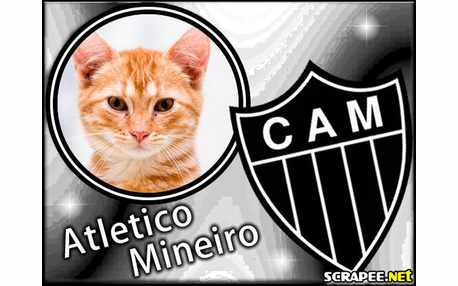 Moldura - Atletico Mineiro