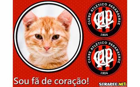 Moldura - Atletico Paranaense