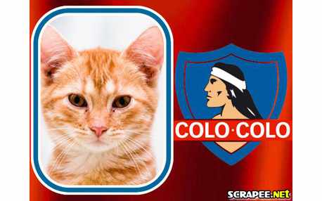 Moldura - Colo Colo