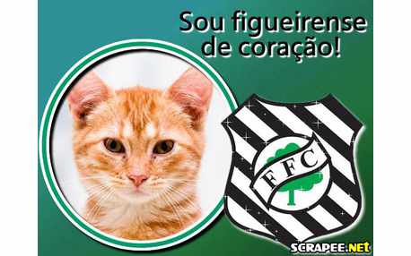 Moldura - Figueirense