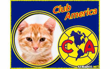 Moldura - Club America