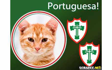 Moldura - Portuguesa