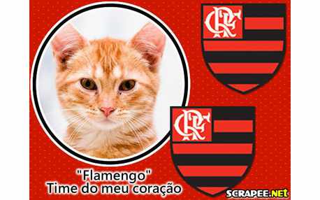 Moldura - Moldura Do Flamengo