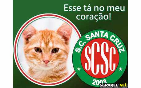 Moldura - Sc Santa Cruz Rn