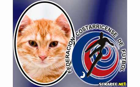 Moldura - Federacion Costarricense