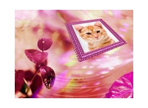 Moldura - Pink Leafs