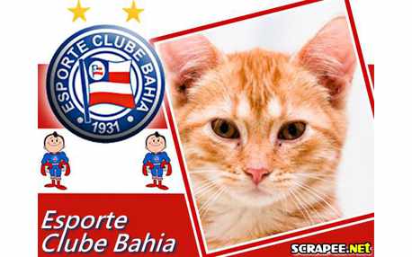 Moldura - Esporte Clube Bahia
