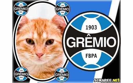 Moldura - Gremio