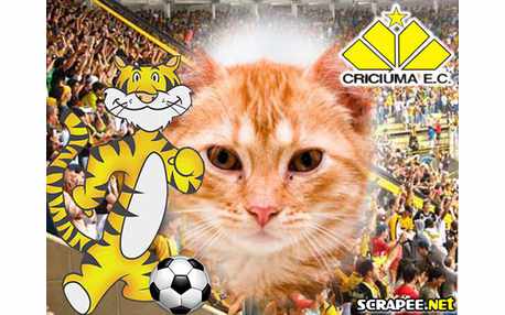 Moldura - Criciuma Esporte Clube