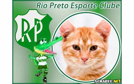 Moldura - Rio Preto Esporte Clube