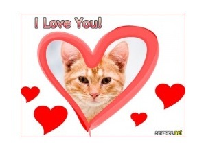 Moldura - Coracao I Love You