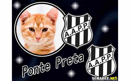 Moldura - Ponte Preta