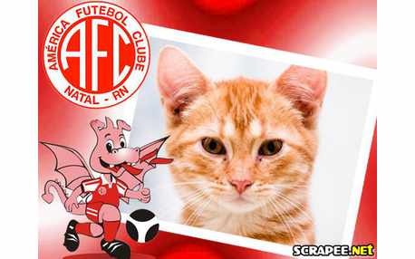 Moldura - America Futebol Clube