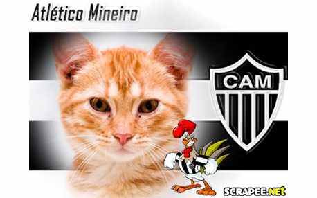 Moldura - Atletico Mineiro