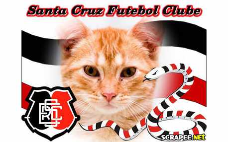 Moldura - Santa Cruz Futebol Clube