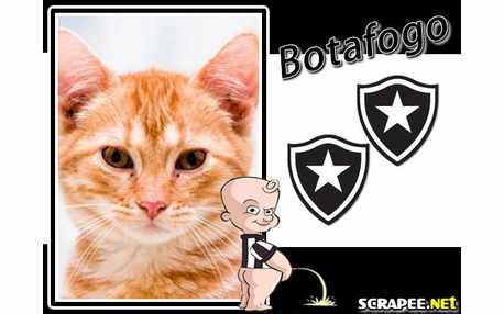 Moldura - Montagem Do Botafogo