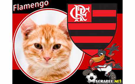 Moldura - Flamengo