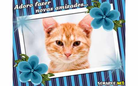 Moldura - Cartao De Amizade