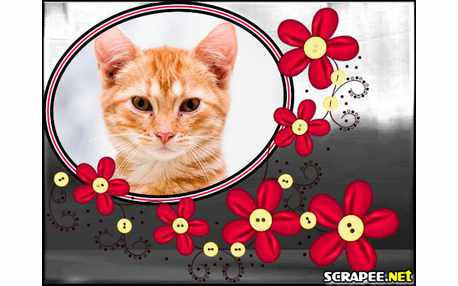 Moldura - Florzinhas