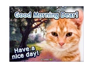 Moldura - Good Morning Dear