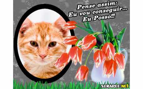 Moldura - Pensamento Positivo