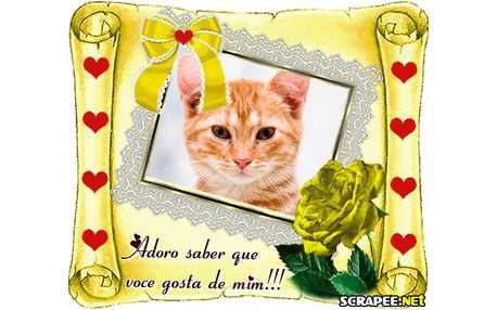 Moldura - Gosto De Voce