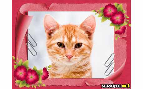 Moldura - Cartao Com Flores