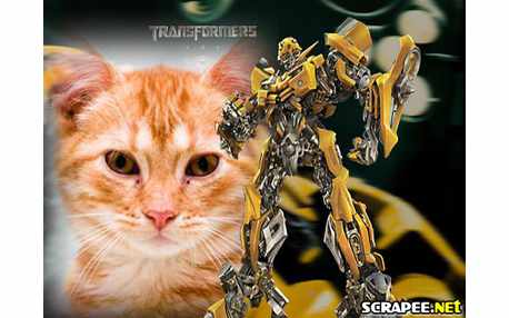Moldura - Transformers 2