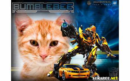Moldura - Bumblebee Transformers 2