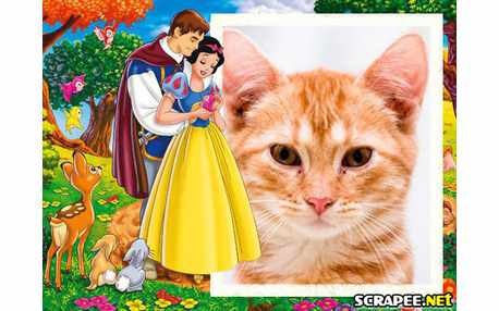 Moldura - Branca De Neve