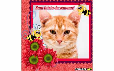 Moldura - Semana Iniciando