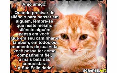 Moldura - Mensagem De Amigo